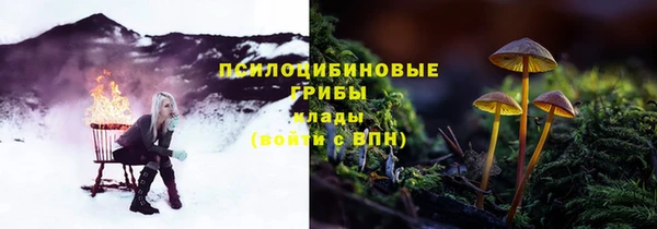 spice Балабаново